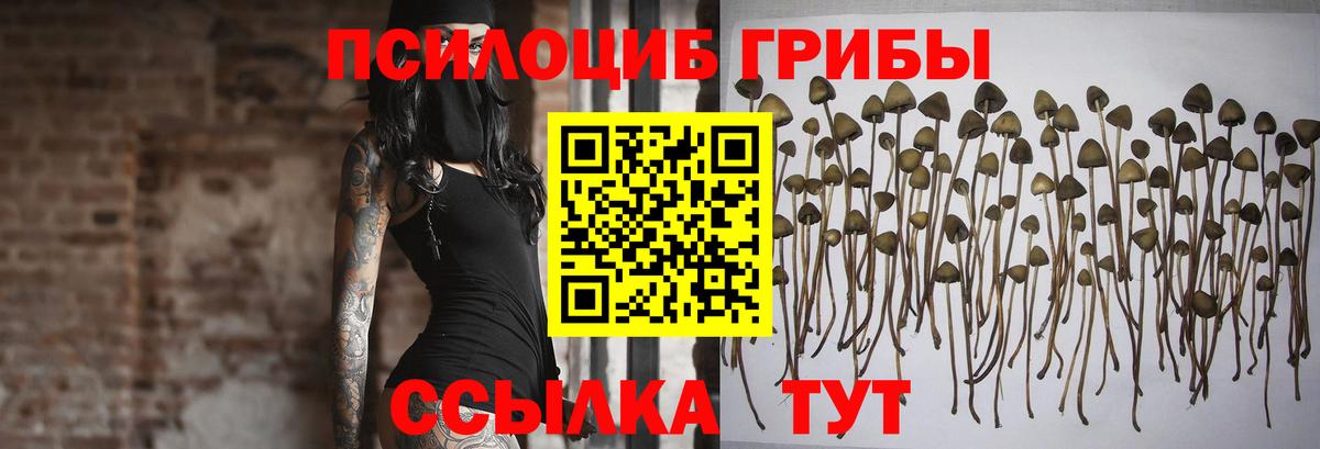 Псилоцибиновые грибы Magic Shrooms  продажа наркотиков  Ирбит  Галлюциногенные грибы GOLDEN TEACHER  Вход с VPN 